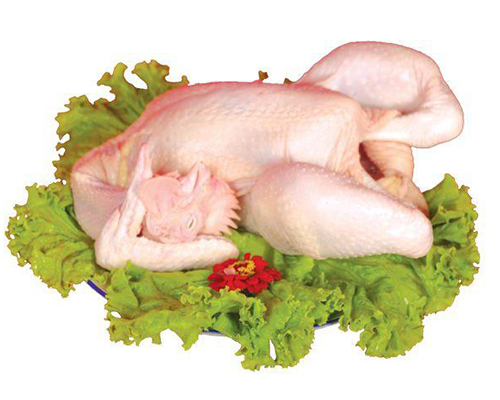 濟寧優良金鑼生鮮雞肉價格